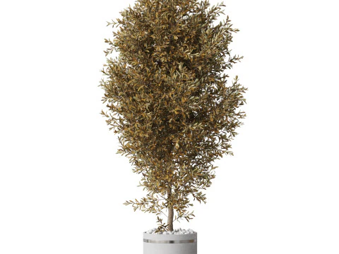 Plants collection 789 3D Model