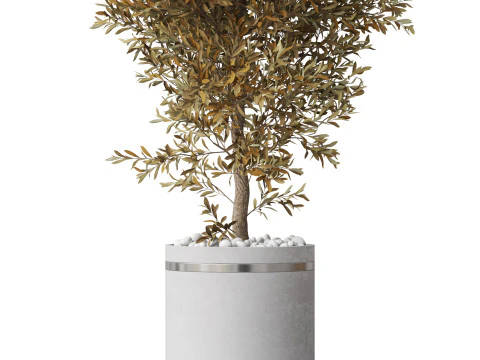 Plants collection 789 3D Model