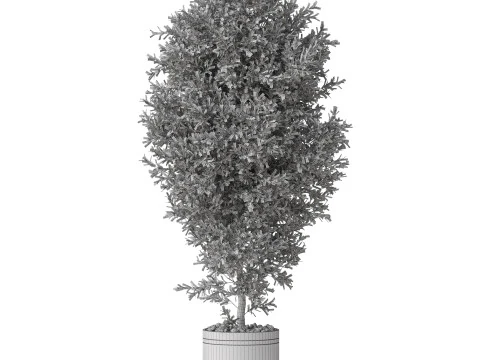 Plants collection 789 3D Model