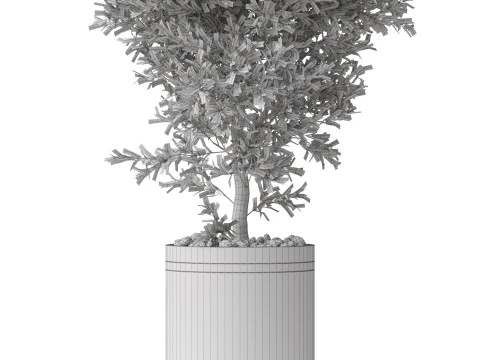 Plants collection 789 3D Model