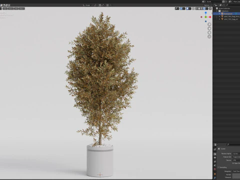 Plants collection 789 3D Model