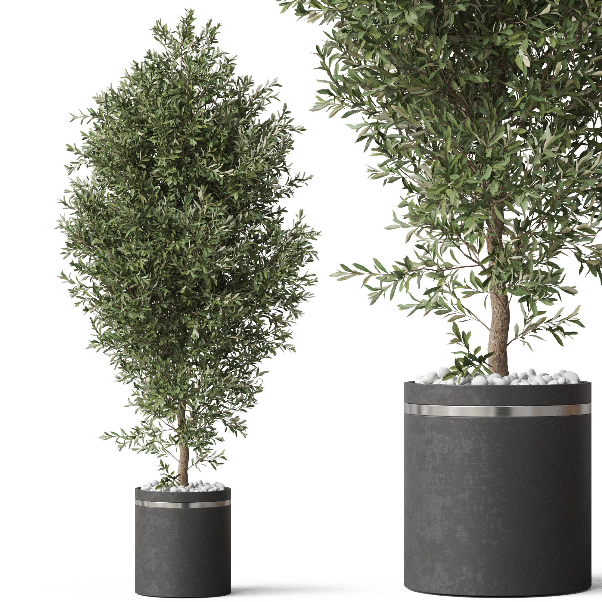 Plants collection 790 3D Model .c4d .max .obj .3ds .fbx .stl .blend 
