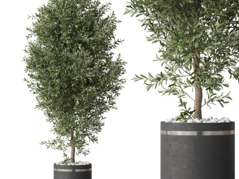 Plants collection 790 3D 모델