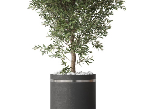 Plants collection 790 3D 模型
