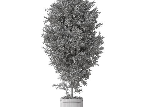 Plants collection 790 3D 模型