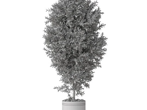 Plants collection 790 3D Model