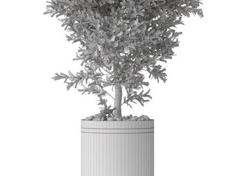 Plants collection 790 3D 模型