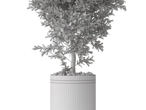 Plants collection 790 3D Model