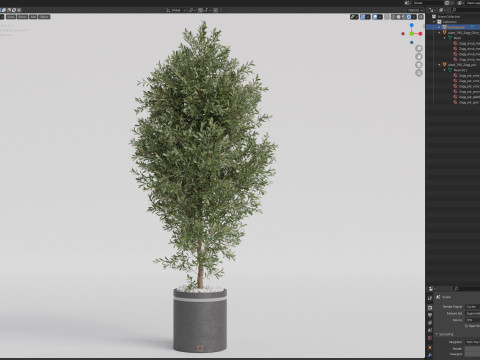Plants collection 790 3D 模型