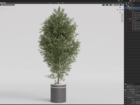 Plants collection 790 3D Model