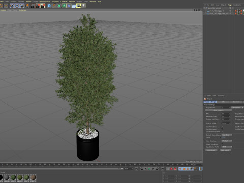 Plants collection 790 3D 模型