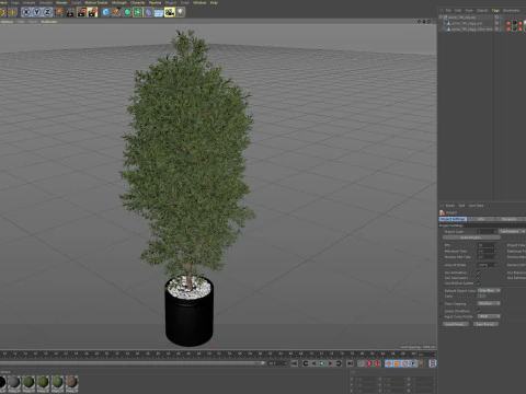 Plants collection 790 3D Model