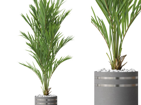 Plants collection 791 3D 모델