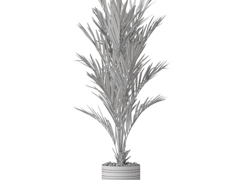Plants collection 791 3D 模型