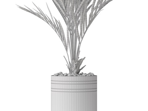 Plants collection 791 3D 模型