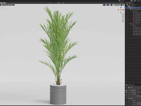 Plants collection 791 3D 模型