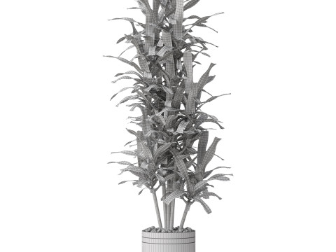 Plants collection 792 Modello 3D