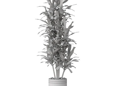 Plants collection 792 3D Model