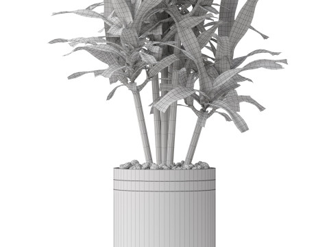 Plants collection 792 Modello 3D