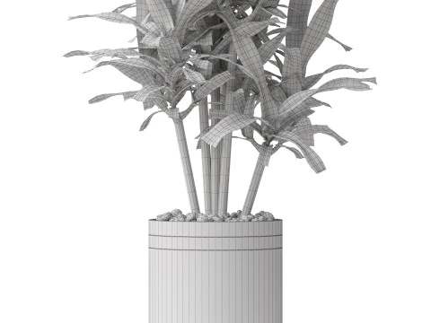 Plants collection 792 3D Model