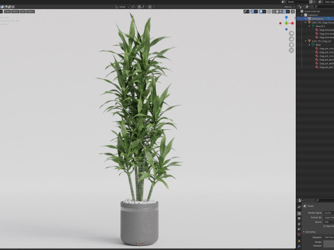 Plants collection 792 Modello 3D