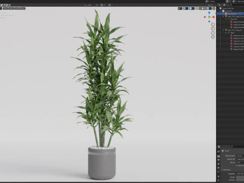 Plants collection 792 3D Model