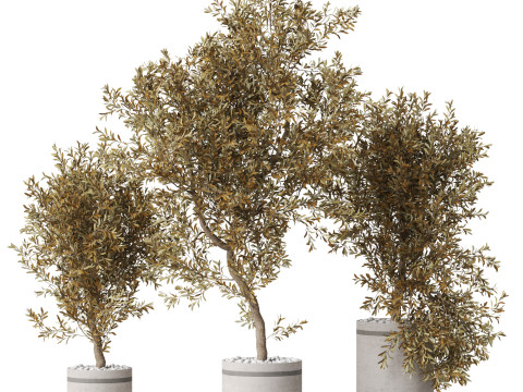 Plants collection 793 3D 모델