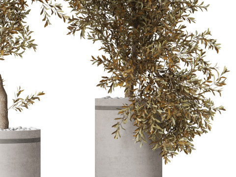 Plants collection 793 3D 모델
