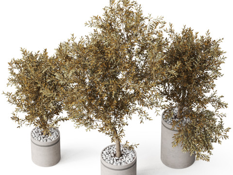 Plants collection 793 3D 모델