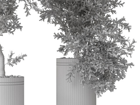 Plants collection 793 3D 모델