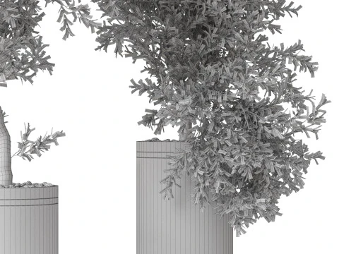 Plants collection 793 3D Model