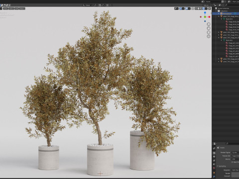 Plants collection 793 3D 모델