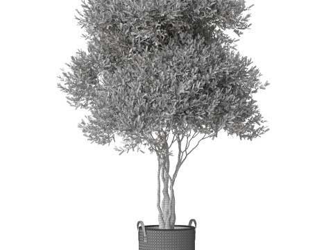 Plants collection 794 3D Model