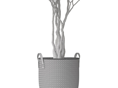 Plants collection 794 3D Model