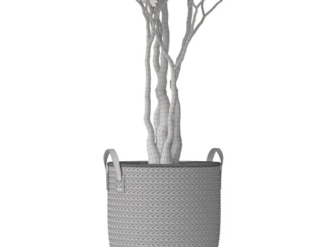 Plants collection 794 3D Model