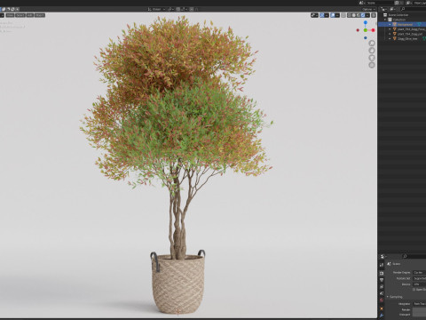 Plants collection 794 3D Model