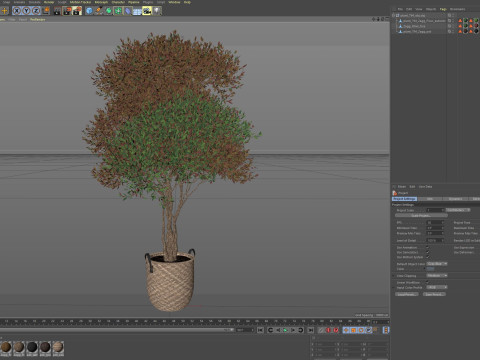 Plants collection 794 3D Model