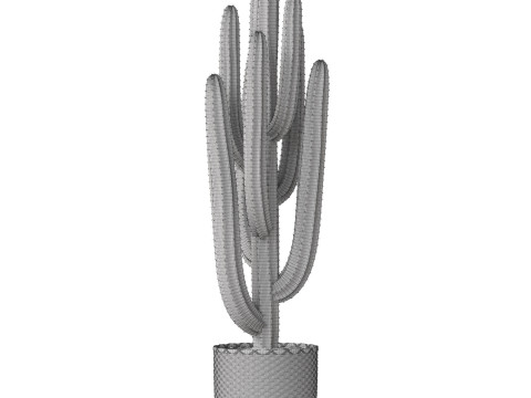 Plants collection 795 3D Model