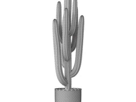 Plants collection 795 3D Model