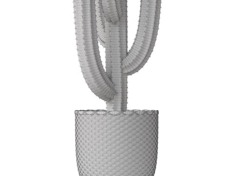 Plants collection 795 3D Model