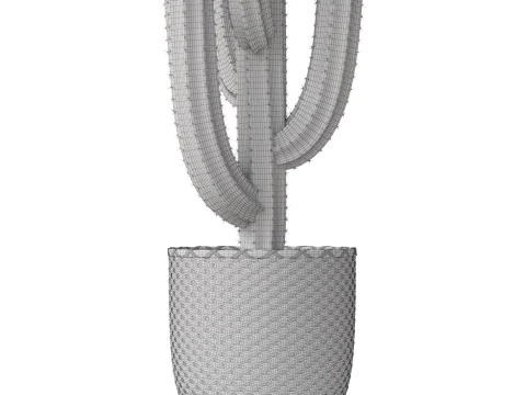 Plants collection 795 3D Model
