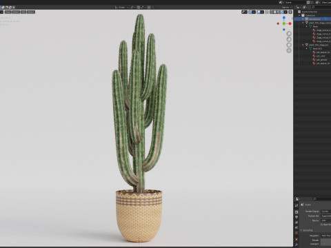 Plants collection 795 3D Model