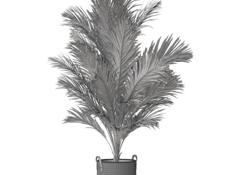 Plants collection 796 3D Model