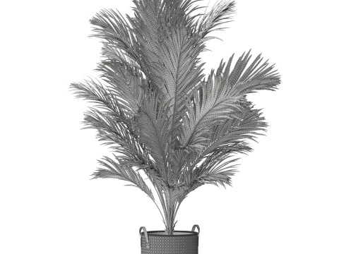 Plants collection 796 3D Model