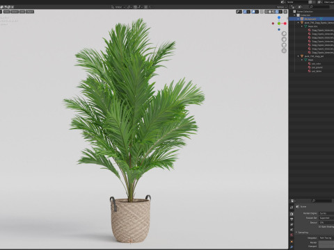 Plants collection 796 3D Model