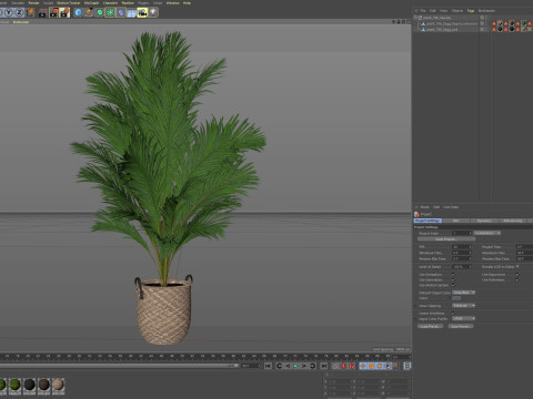 Plants collection 796 3D Model