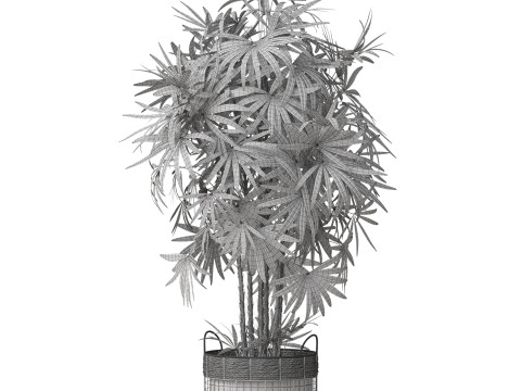 Plants collection 798 3D Model