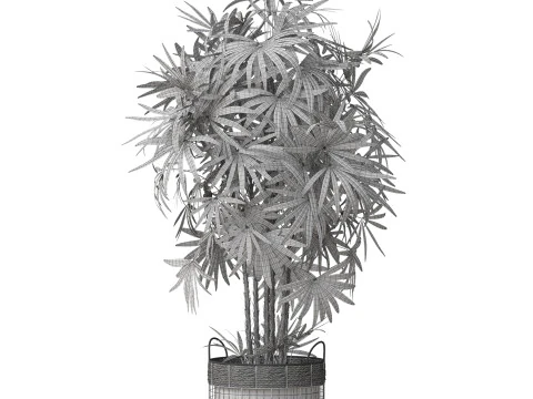 Plants collection 798 3D Model