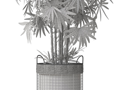 Plants collection 798 3D Model