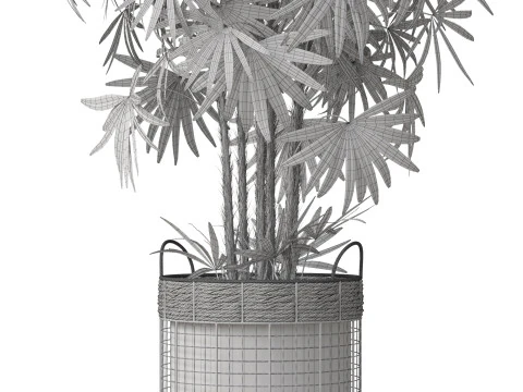 Plants collection 798 3D Model